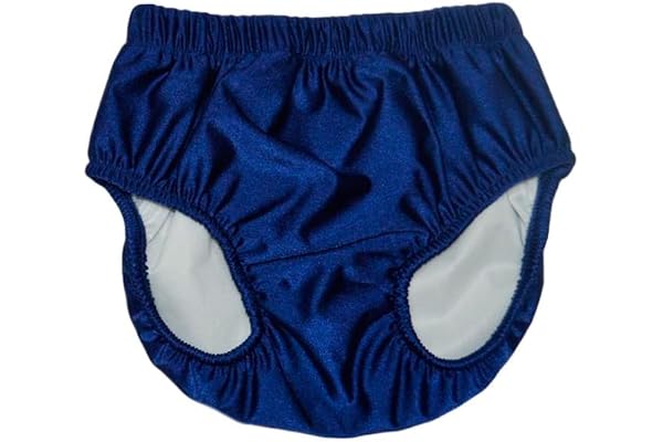 Child, Youth, & Special Need My Pool Pal Swimsters Resuable Swim Diaper (M-10/12, Navy)