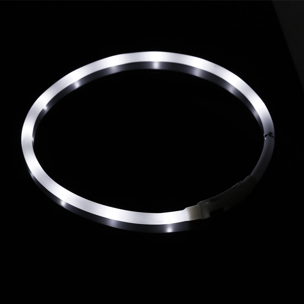 ZOGIN Collar de perro LED, collar de seguridad recargable USB para perro gato y otro animal doméstico, color blanco