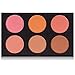SHANY Cosmetics Fuchsia 6 Color Blush Palette, 8 Ounce