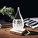 KYMAKE Storm Glass Weather Predictor - Creative Crystal Glass Bottle Desktop Drops Craft Weather Station with Pure Wood Base - High-Class Decoration on Home & Office (Large)