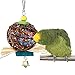 Kassbest Bird Parrot Chewing Toys,Natural Rattan Ball Shredder Toy Cage Foraging Shredder Toy and Bird Beak Grinding Stone Lava Block Calcium Supplement for Budgie Lovebirds Conures Parakeet 2 Packthumb 1