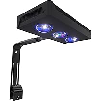 Led Lighting for Nano Reef Tanks: Ultimate Guide for Vibrant Growth