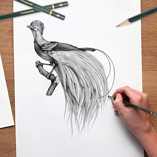 Sketching Pencil Set - 16 Pieces Bowite Drawing Sketch Pencil 8B, 7B, 6B, 5B, 4B, 3B, 2B, B, F, HB, H, 2H, 3H, 4H, 5H, 6H for Beginners Or Professional Artists.
