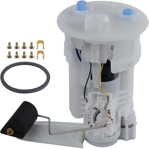 Amazon.com: General Motors 19206532, Electric Fuel Pump : Automotive