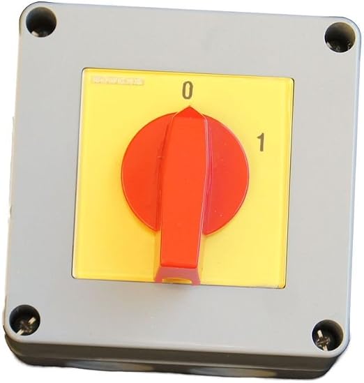 CED 20A 1-fach Zweipoliger Schalter Mit Neon-Anzeige - Ideal Für Heizungen & Starkstrom