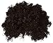 Rubie's Costume Deluxe Afro Wig,Dark Brown, One Size