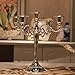 Happy Lifestyles Classic Beautiful Metal Candle Stick Candle Holder 5 Stands Silver