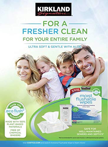kirkland flushable wipes amazon