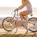 EzyDog ZERO SHOCK Leash - Best Shock Absorbing Dog Leash, Control & Training Lead (25