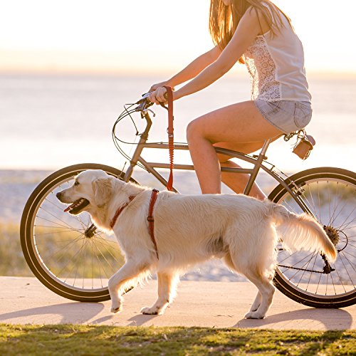 image for EzyDog Zero Shock Leash - Best Shock Absorbing Bungee Dog Leash & Trai