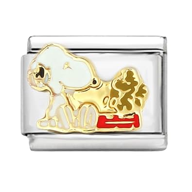 AKKi Italian Charms Armband Classic glieder Italy Charm,Silber Gold Edelstahl Links Kult modele Blume Tiere Herz für Basisarm