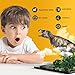 BLAGOO Dinosaur Toys with Moving Parts 6 Figures up to 10.6 inches Super Big Set #2 including Free Augmented Reality 4D Cards