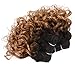 8 Inch Water Wave Human Hair Ombre Bundles T1B/27 Ombre Hair Weave 4pcs For Bob Weave 200g/Pack Two Tone Ombre Color Black and Honey brown Color Hair Extension (8inch4pcs,T1B/27)