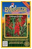 Everwilde Farms - 2000 Cardinal Flower Native