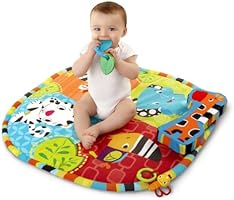 bright starts spots and stripes safari gym