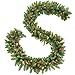 OasisCraft 9FT Christmas Garland Decorations with 20 Pine Cones, Branches and 50 Battery Operated Warm Lights and Timer Product Name