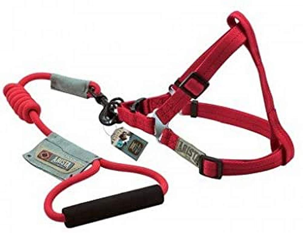 Zeus 99372 Harness and Leash for Dog Arista Round S, Red