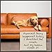 COCONIX Brown Leather and Vinyl Repair Kit - Restorer of Your Couch, Sofa, Car Seat and Your Jacket - Super Easy Instructions - Restore Any Material, Genuine, Italian, Bonded, Bycast, PU