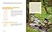 Tupelo Honey Cafe: New Southern Flavors from the Blue Ridge Mountains (Volume 2)