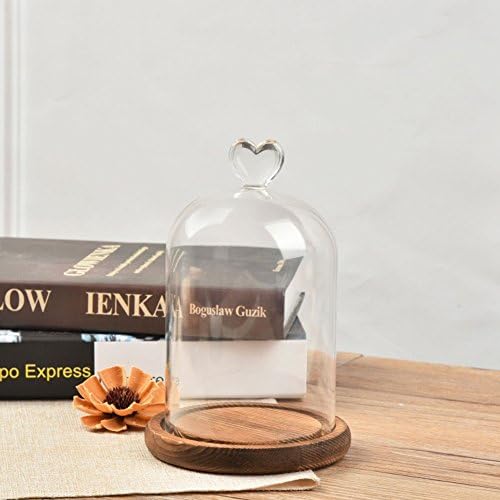 Clear Love Cloche Glass Dome with Wood Base Dustproof Glass Shade Glass Bottle for Fresh Flower Home Decor (large, brown)