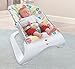 Fisher-Price Comfort Curve Bouncer, Multi color