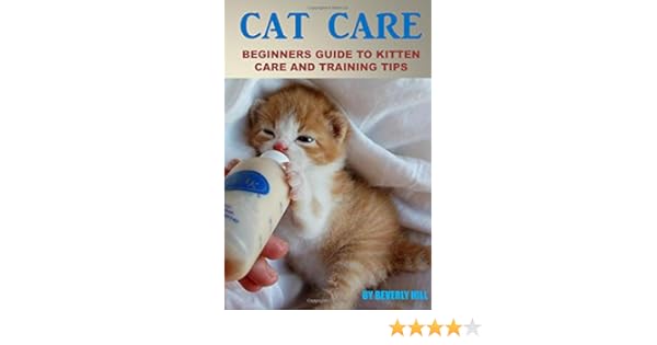 cat care for beginners