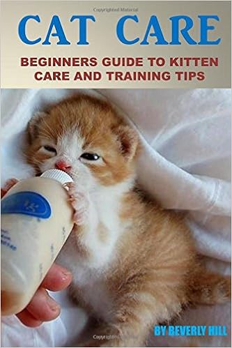 cat care for beginners