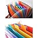 Oak-Pine 24 Pocket Expanding File Folder - Large Plastic Rainbow Expandable File Organizer Self Standing Accordion A4 Document Folder Wallet Briefcase Business Filing Box