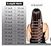 16 Human Hair Clip in hiGHLIGHT 18613