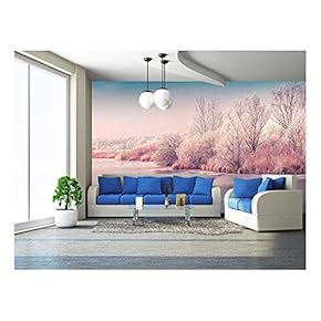 Panorama of The Frozen Pond in The City Park. Instagram Toning. - Removable Wall Mural | Self-Adhesive Large Wallpaper - 66x96 inches