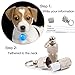 IN HAND Water Resistant Clip-On Dog & Cat Collar LED Lights, Upgraded LED Dog Collar Safety Night Walking Lights by, Light Up Dog Collar with 3 Flashing Modes, Battery Included