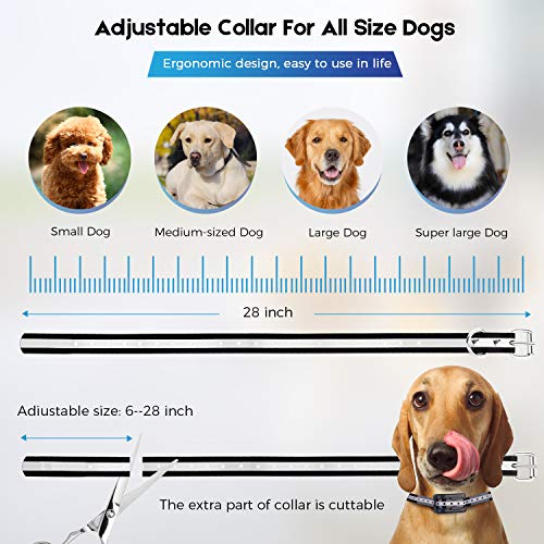 WIEZ Wireless Dog Fence Electric & Training Collar 2in1, Dual Antenna