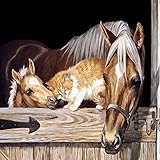 CITY DIY Diamond 5D Embroidery Paintings Rhinestone Pasted diy Christmas painting Cross Stitch (20x20, horse)