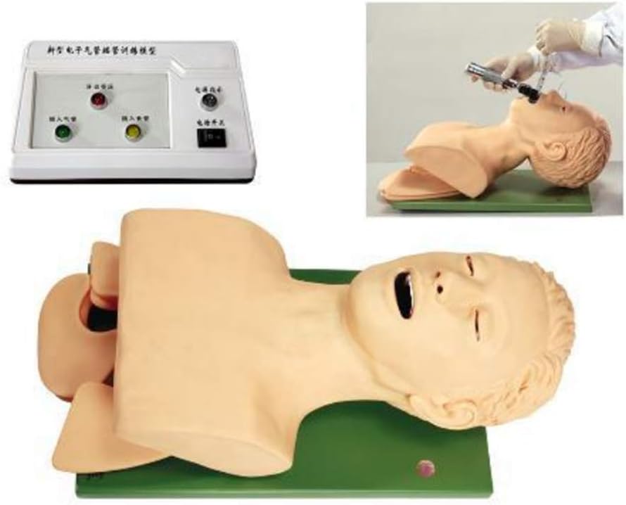 JSBVM Half-Body Intubation Manikin Airway Management with Tooth Alarm Device for Nursing Medical Training