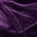 Bedsure GentleSoft Fleece Blanket Twin Size Purple - 300GSM Lightweight Plush Fuzzy Cozy Soft Warm Blanket for Bed, Sofa, Couch, Travel, Camping, 60x80 inches