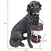 iGlow Solar Black Labrador Dog Bright White LED Outdoor Garden Decoration Statue Lantern Light Path Post Landscape Lamp