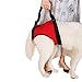 Dogs Lift Harness - Dogs Lift Support Rehabilitation Harness Helping Support for Elderly or Arthritis Dogs (REAR-L, Red)
