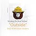 Smokey The Bear Firefighting Wildfire Sticker, (kk-lk5)