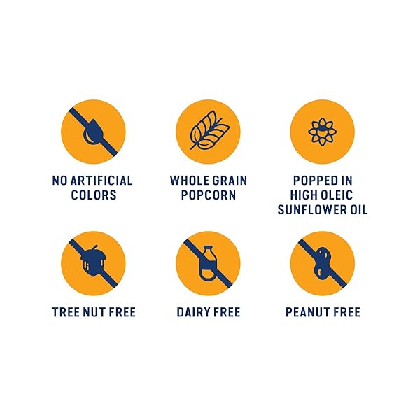 SKINNYPOP POPCORN, DAIRY-FREE WHITE CHEDDAR, WHOLE GRAIN SNACK, 4.4OZ BAG