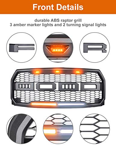 2 Raptor+innhom+Grille+2015+2017+Accent