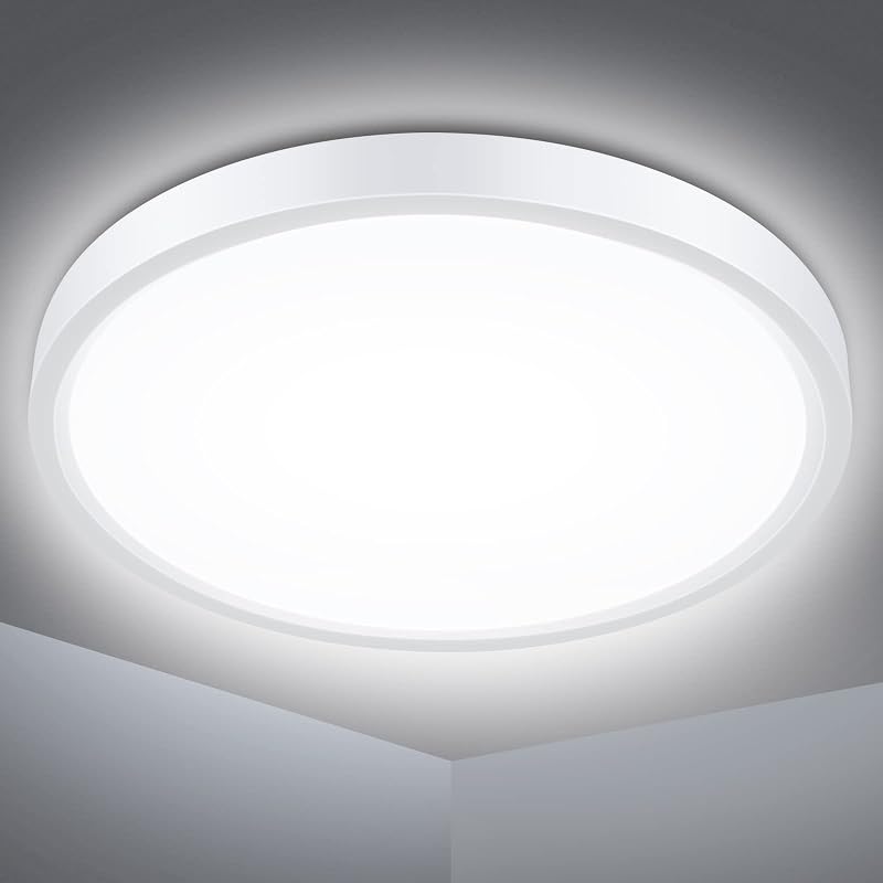Defurhome 18W LED Ceiling Light Ø22cm IP54 White Daylight 5000K