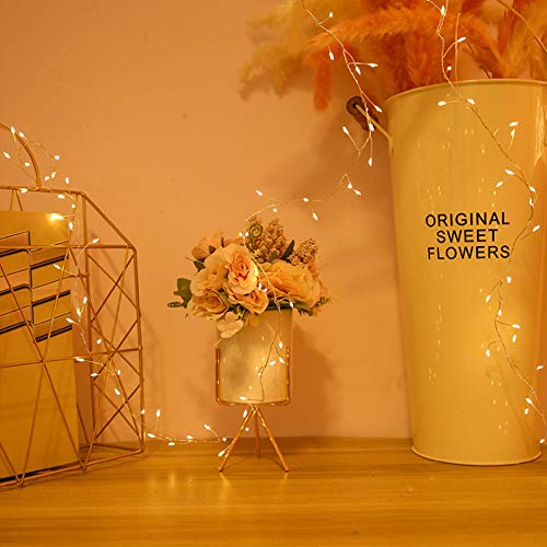 1M Led Catena Luminosa Luci Stringa String Lights Firefly Catena di Filo di Rame con 100 LEDs Impermeabile USB Natale per Esterni e Interni, Feste, Matrimonio, Casa, Luce Gialla Calda