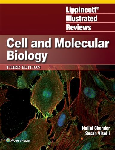 Cellular and Molecular Neurophysiology: 9780123970329: Medicine