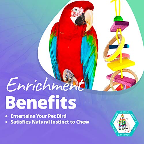 4 Super+Bird+Creations+4+Inch+Olympic