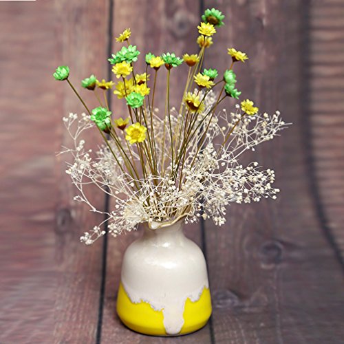 100 Stems Natural Dry Flowers Brazilian Small Star Daisy Decorative Dried Flowers Mini Daisy Chamomile Bouquet for Wedding Floral Arrangements Home Decorations (Autumn Color)