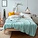 Luxury Collection Ultra Soft Plush Fleece Lightweight All-Season Throw/Bed Blanket (Throw (50-Inch-by-60-Inch), Turquoise)