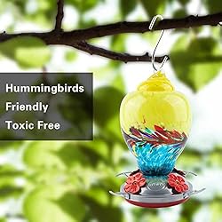 WOSIBO Hummingbird Feeder for Outdoors Patio Large
