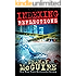 Indexing: Reflections (Indexing Series Book 2)