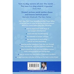 How to Raise the Perfect Dog: Through Puppyhood and Beyond. Cesar Millan with Melissa Jo Peltier