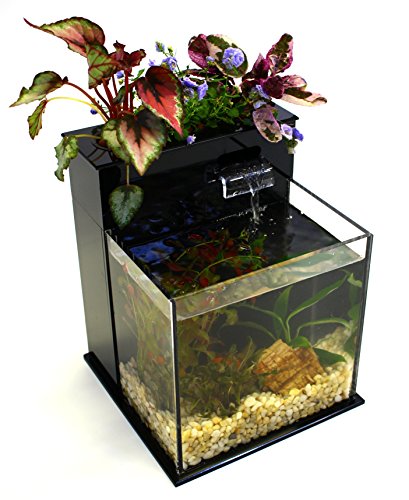 22 aquaponics fish tank top fin